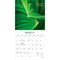 Brush Dance; Simplicity | 2027 7 x 14 Inch (Hanging) Monthly Mini Wall Calendar; Category:Wall Calendars; Image:4
